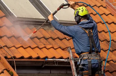 Démoussage et hydrofuge de toiture à Poncins